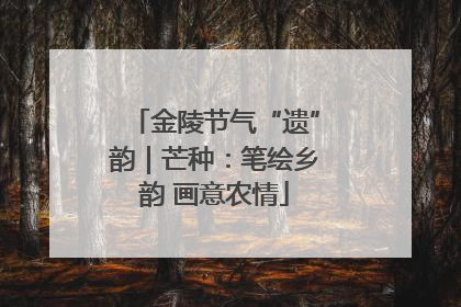 金陵节气“遗”韵｜芒种：笔绘乡韵 画意农情