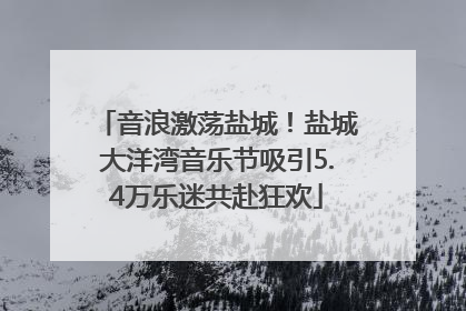 音浪激荡盐城！盐城大洋湾音乐节吸引5.4万乐迷共赴狂欢