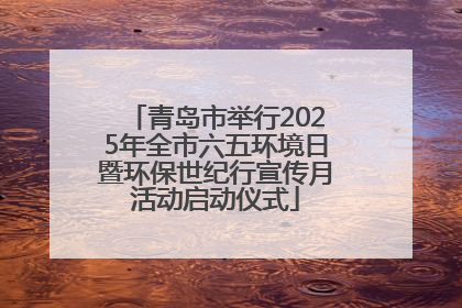青岛市举行2025年全市六五环境日暨环保世纪行宣传月活动启动仪式