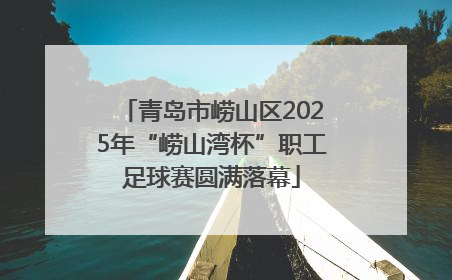 青岛市崂山区2025年“崂山湾杯”职工足球赛圆满落幕