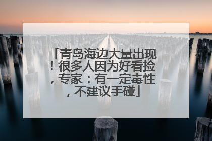 青岛海边大量出现！很多人因为好看捡，专家：有一定毒性，不建议手碰