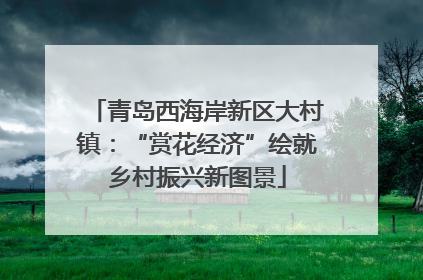 青岛西海岸新区大村镇：“赏花经济”绘就乡村振兴新图景