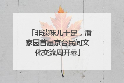 非遗味儿十足，潘家园首届京台民间文化交流周开幕