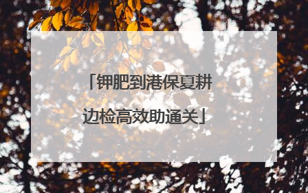 钾肥到港保夏耕 边检高效助通关