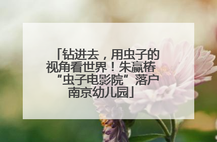 钻进去，用虫子的视角看世界！朱赢椿“虫子电影院”落户南京幼儿园