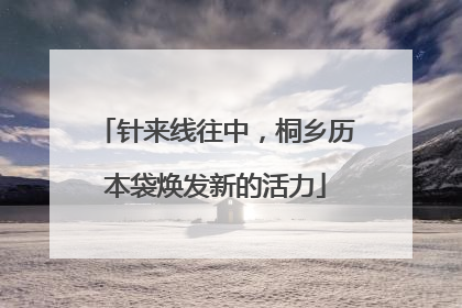 针来线往中，桐乡历本袋焕发新的活力