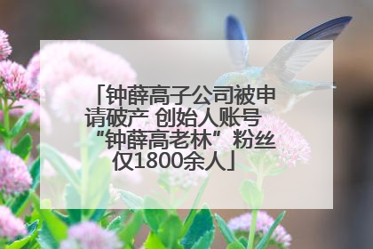 钟薛高子公司被申请破产 创始人账号“钟薛高老林”粉丝仅1800余人