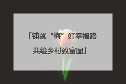 铺就“梅”好幸福路 共绘乡村致富图