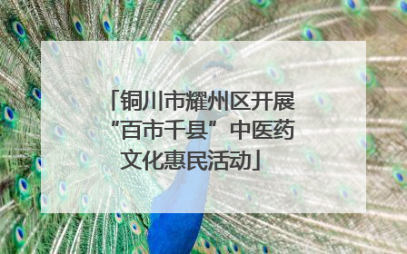 铜川市耀州区开展“百市千县”中医药文化惠民活动