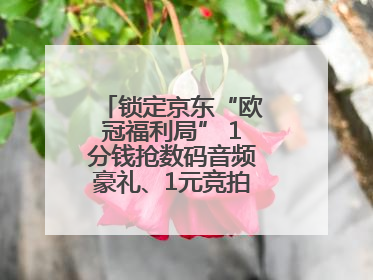 锁定京东“欧冠福利局” 1分钱抢数码音频豪礼、1元竞拍巨星亲签球衣