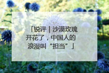 锐评｜沙漠玫瑰开花了，中国人的浪漫叫“担当”