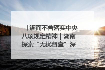 锲而不舍落实中央八项规定精神｜湖南探索“无扰督查”深化基层减负