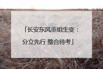 长安东风重组生变：分立先行 整合待考