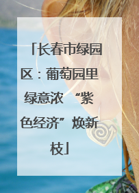 长春市绿园区：葡萄园里绿意浓 “紫色经济”焕新枝