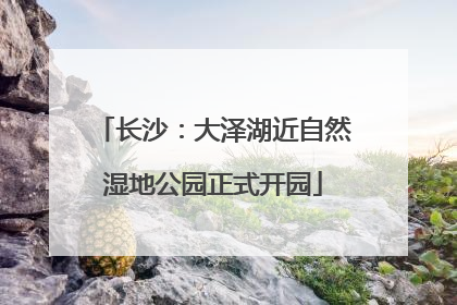 长沙：大泽湖近自然湿地公园正式开园