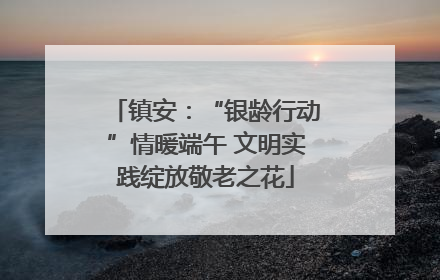 镇安：“银龄行动”情暖端午 文明实践绽放敬老之花
