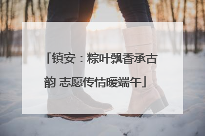 镇安：粽叶飘香承古韵 志愿传情暖端午