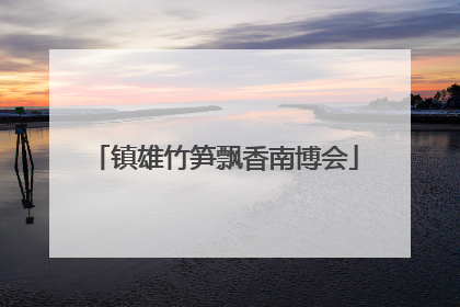 镇雄竹笋飘香南博会