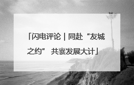 闪电评论｜同赴“友城之约” 共襄发展大计