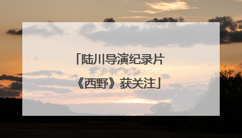 陆川导演纪录片《西野》获关注