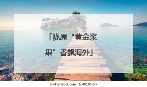 陇原“黄金浆果”香飘海外