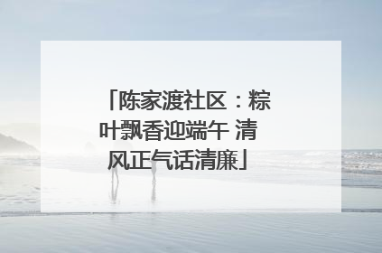 陈家渡社区：粽叶飘香迎端午 清风正气话清廉