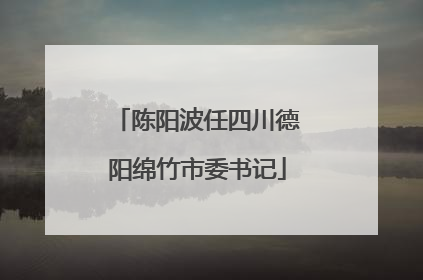 陈阳波任四川德阳绵竹市委书记