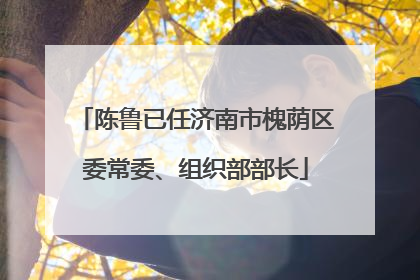 陈鲁已任济南市槐荫区委常委、组织部部长