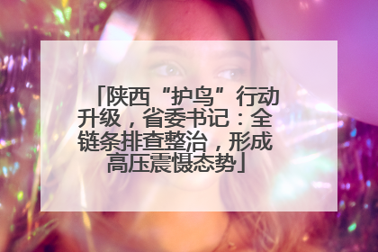 陕西“护鸟”行动升级，省委书记：全链条排查整治，形成高压震慑态势