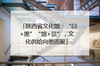 陕西省文化馆：“白+黑”“馆+景”，文化供给向美而聚