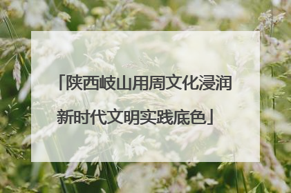 陕西岐山用周文化浸润新时代文明实践底色