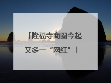 隆福寺商圈今起又多一“网红”