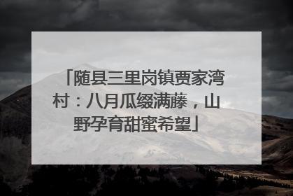 随县三里岗镇贾家湾村：八月瓜缀满藤，山野孕育甜蜜希望