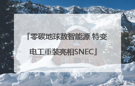 零碳地球数智能源 特变电工重装亮相SNEC