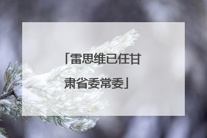 雷思维已任甘肃省委常委