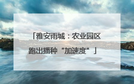 雅安雨城：农业园区跑出播种“加速度”