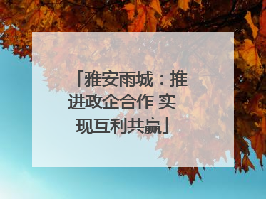 雅安雨城：推进政企合作 实现互利共赢