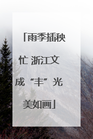 雨季插秧忙 浙江文成“丰”光美如画