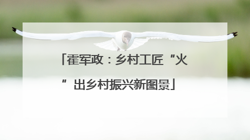 霍军政：乡村工匠“火”出乡村振兴新图景