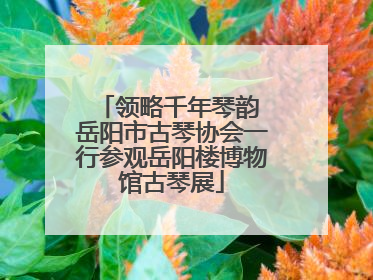 领略千年琴韵 岳阳市古琴协会一行参观岳阳楼博物馆古琴展