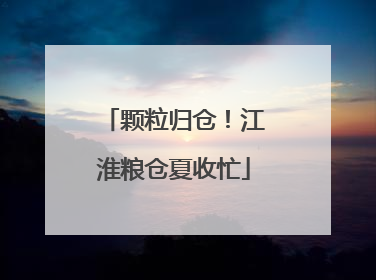 颗粒归仓！江淮粮仓夏收忙