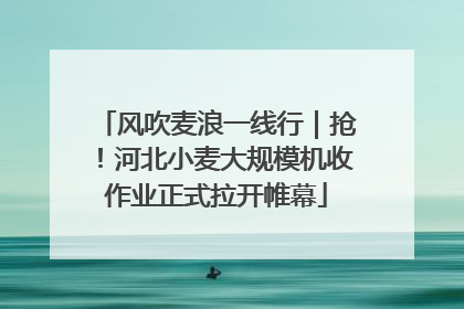 风吹麦浪一线行｜抢！河北小麦大规模机收作业正式拉开帷幕