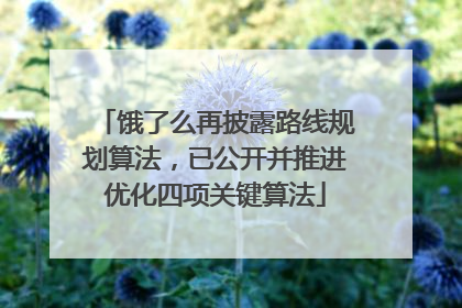 饿了么再披露路线规划算法，已公开并推进优化四项关键算法