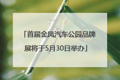 首届金凤汽车公园品牌展将于5月30日举办