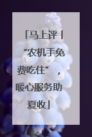 马上评丨“农机手免费吃住”，暖心服务助夏收