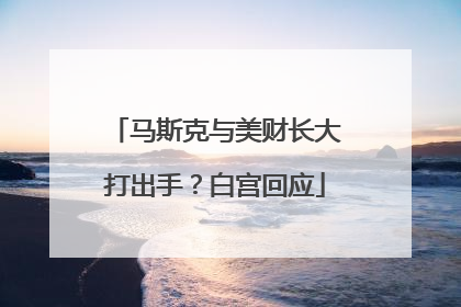 马斯克与美财长大打出手？白宫回应