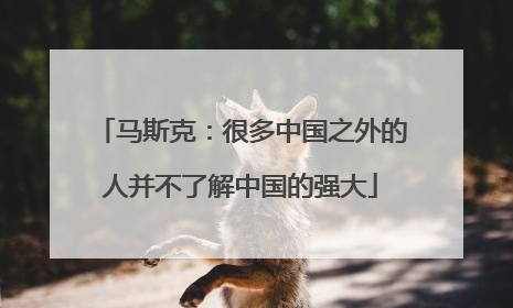 马斯克：很多中国之外的人并不了解中国的强大