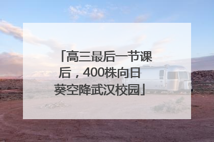 高三最后一节课后，400株向日葵空降武汉校园