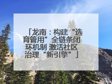 龙南：构建“选育管用”全链条闭环机制 激活社区治理“新引擎”