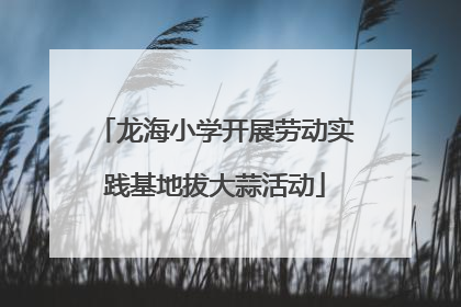 龙海小学开展劳动实践基地拔大蒜活动